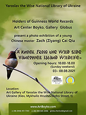 Poster of a photo exhibition of Zach (Caiziyang) Qiu A Knock From the Wild Side  Vancouver Island Wildlife